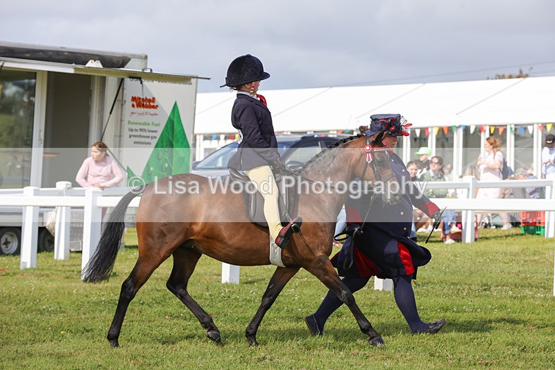 1X9A3603 - Class 29: Lead Rein SP/SHP
