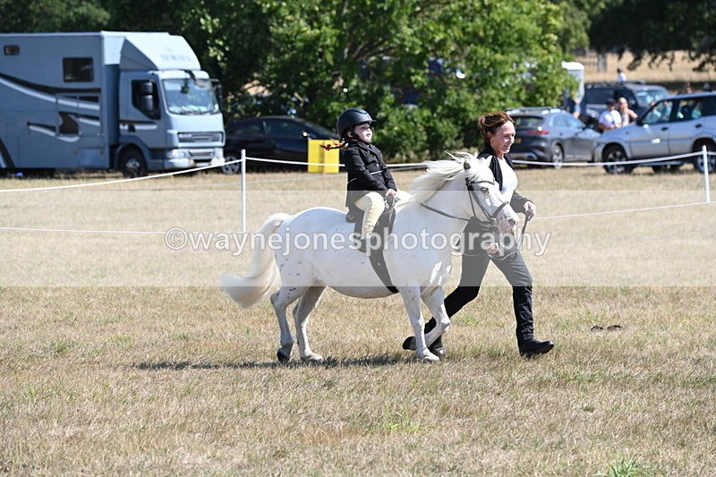 WJ6_7834 - Class 36 Lead Rein