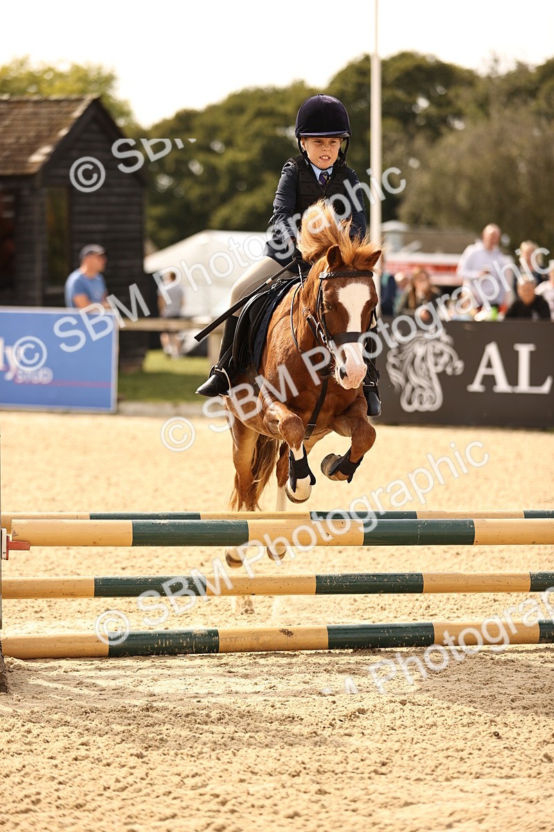 SBM_66836 - J13 - Junior Pony 60cm Championship