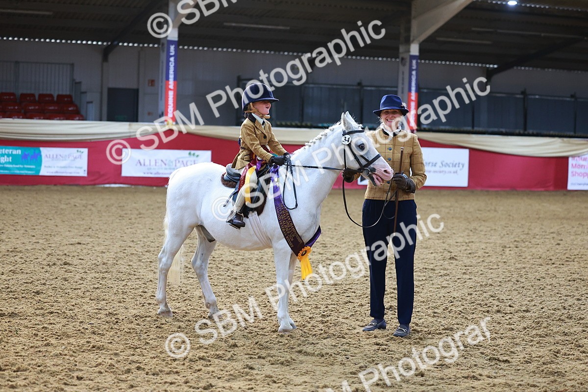 SBM_07745 - Class 101 - HOYS Veteran Qualifier - Ridden Diamond