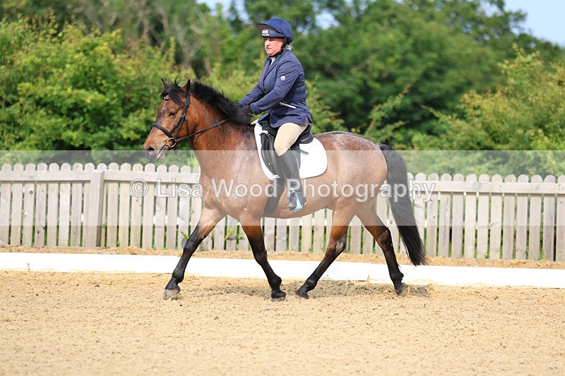 3E7A8626 - Class 1: Intro 1 2024 Section A