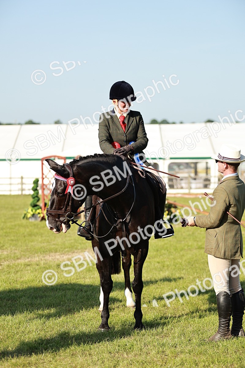 SBM_20129 - Class 115-116 - LIHS BSHA Rising Star Working Hunter & Show Horse