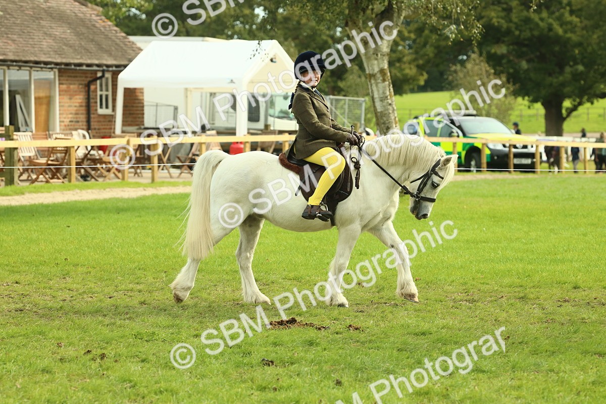 SBM_69771 - S59 - Mountain & Moorland Ridden Small Breeds