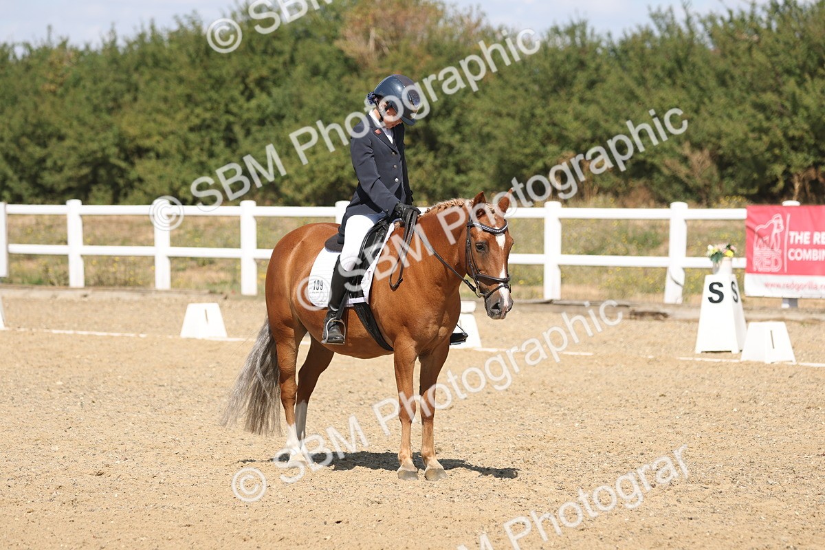 SBM_013751 - Class 1 - P5 Bronze 10.38.12.02