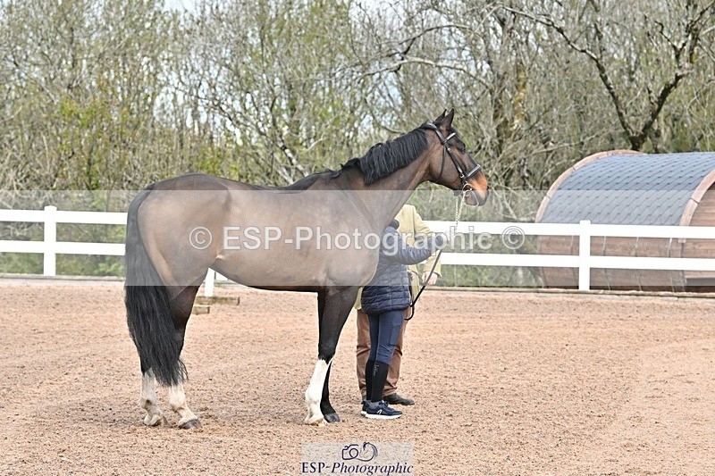 250423-110523-00004 - 11am to 12