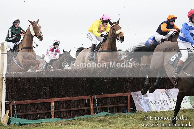 PtP 180218 192 - Combined Services Point-to-Point Larkhill 18/02/18