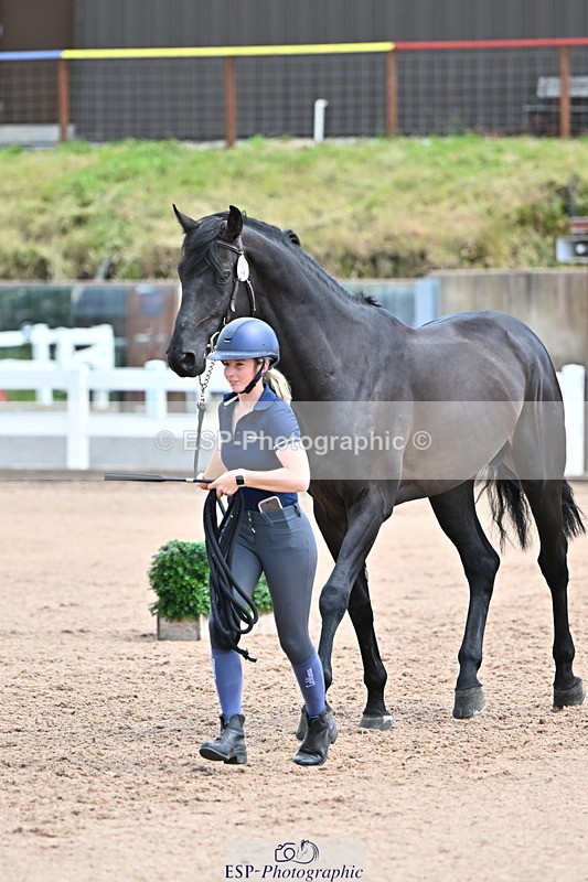 240718A-105309-01620 - Trot Up 1pm to 2pm