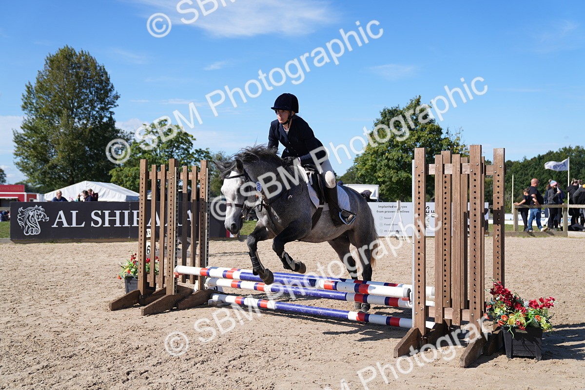 SBM_19537 - J57 - Clear Round 50cm