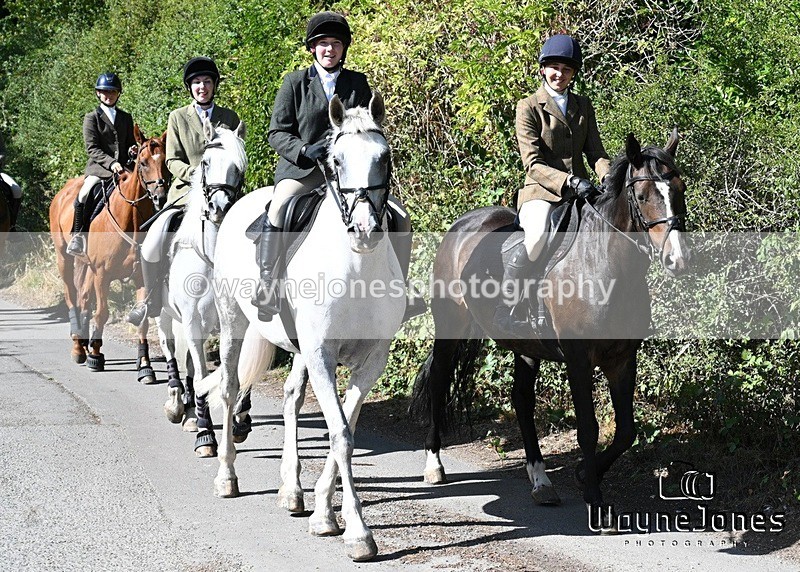 WJ7_0444 - Berks & Bucks - Hound Exercise – Kennels 06-09-26