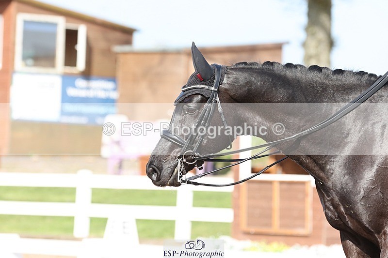 250404-162753-07525 - 124-Penny.Smith-Rembrandt.GSH