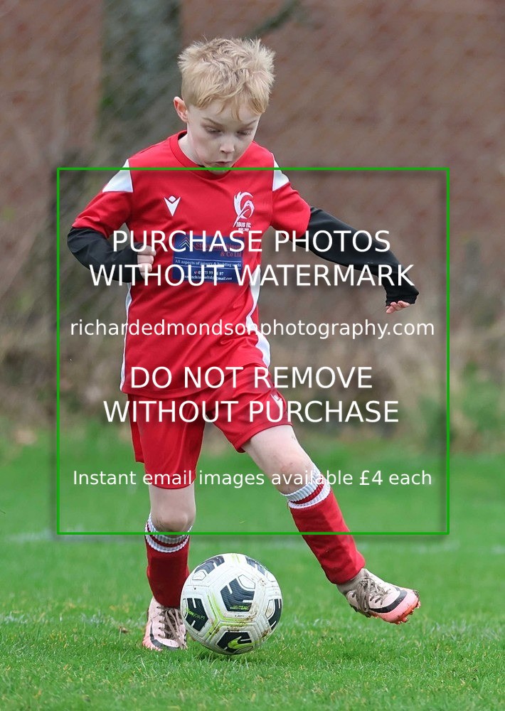 533A1221 - Ibis Under 7's (28/2/26)