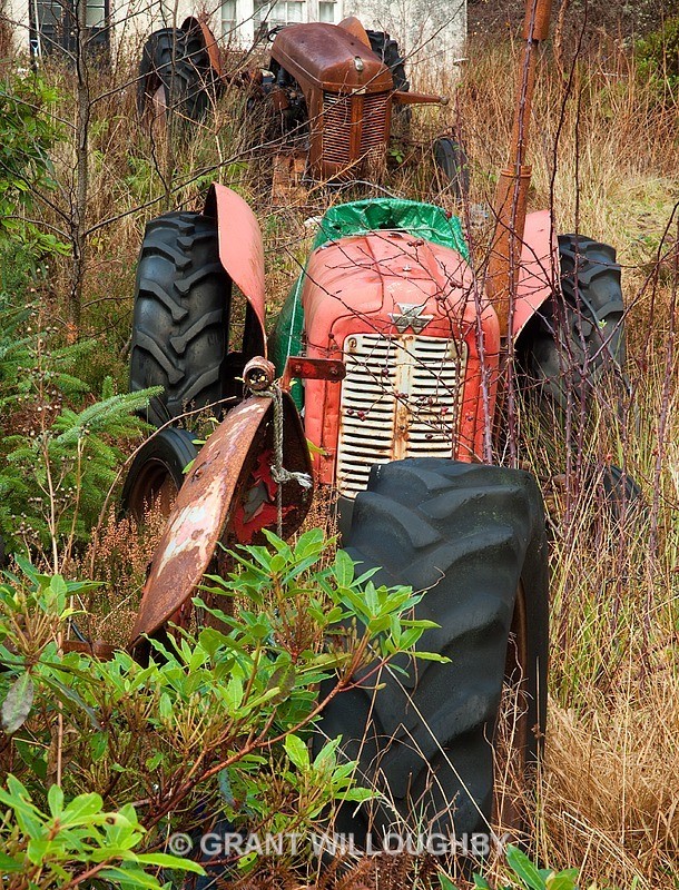 Tractor graveyard - Detail in the land