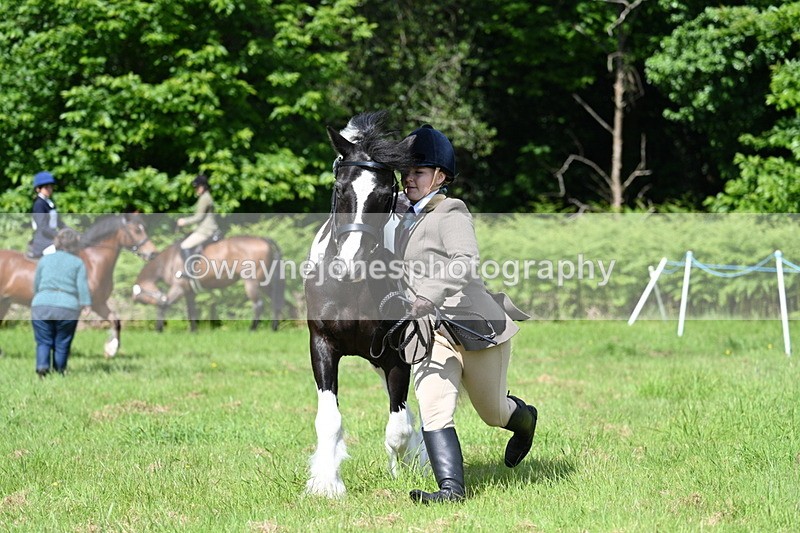 WJ7_1181 - Class 11 Condition & Turnout