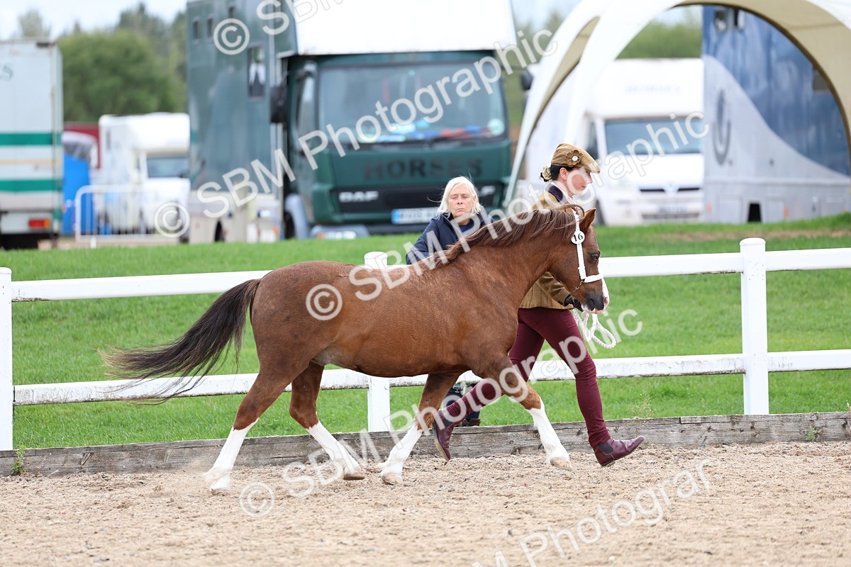 SBM_05883 - Class 29 - IH Veteran Pony