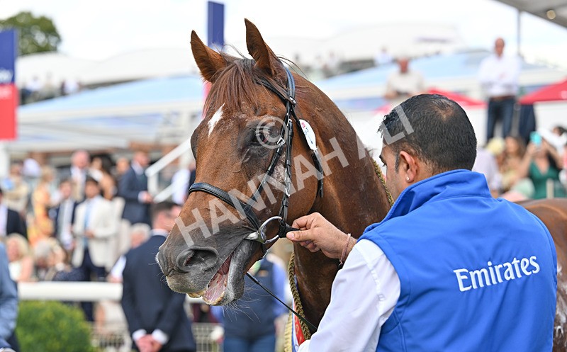 220826-103 Notable Speech - Race 3 15.00pm Sky Bet City Of York Stakes