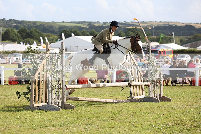 JPP_2802 - Class 20: Working Hunter 70cm