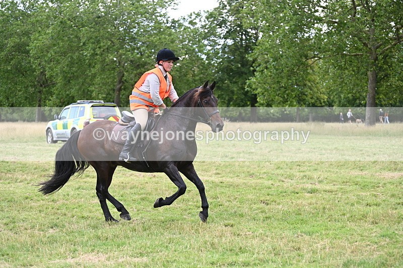 WJ6_5924 - Time at Jump 14:42 to 15:23