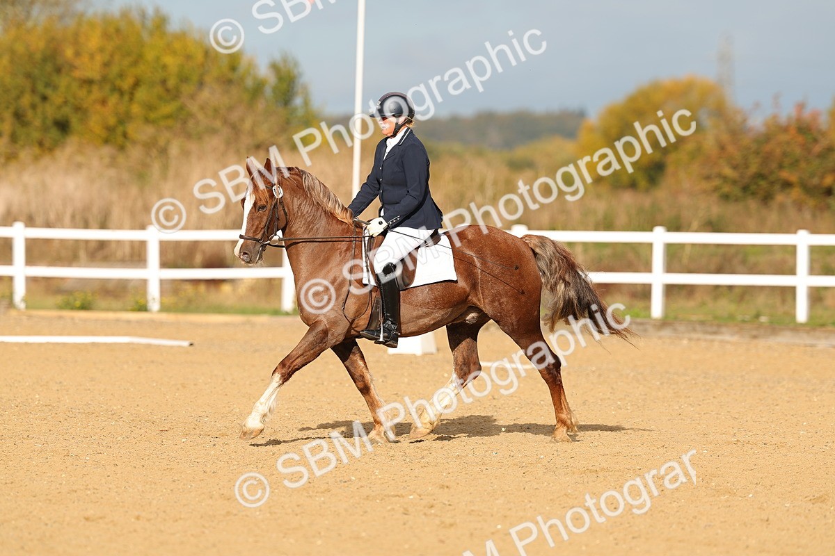 SBM_009280 - Class 1 - P4