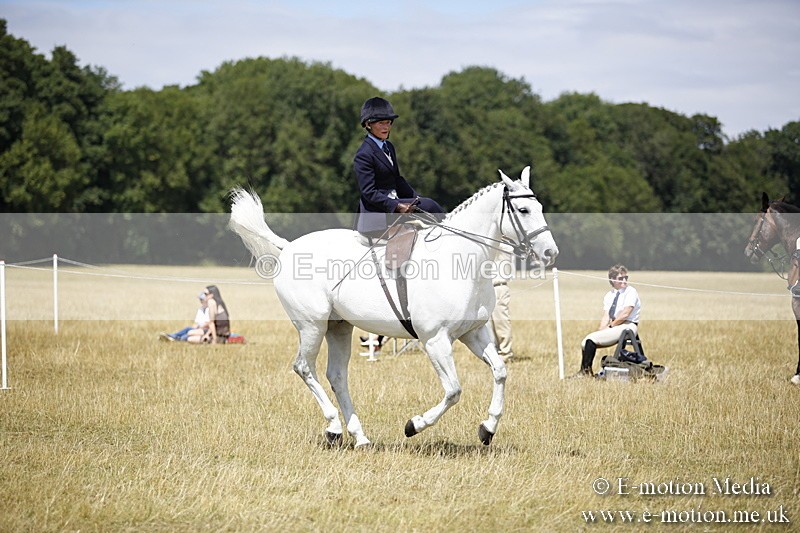 _C7A0221 - Side Saddle Classes BVRC Show 2018