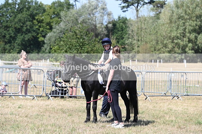 WJ6_8447 - Class 37a Best Loan Pony Ridden