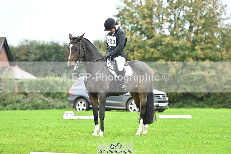 241024-121344-02671 - 323-Nicky.Blastland-FOUNDATIONS.HUSTLER