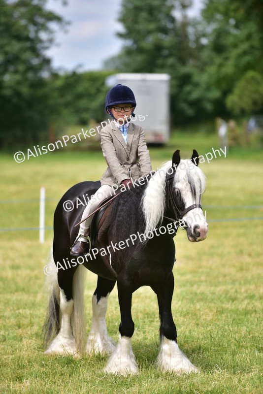 20260614-3997 - Class 16 - Handsome Gelding