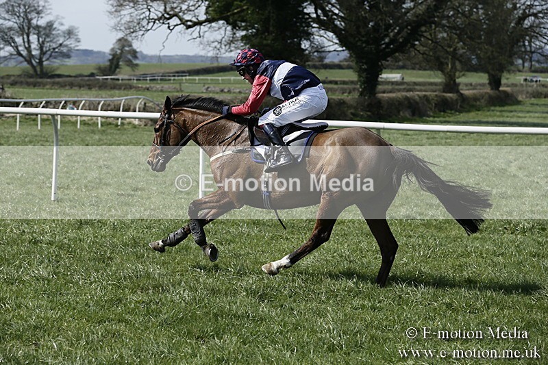 PtP 260317 19 - Mendip Farmers Point-to-Point Ston Easton 26/03/17