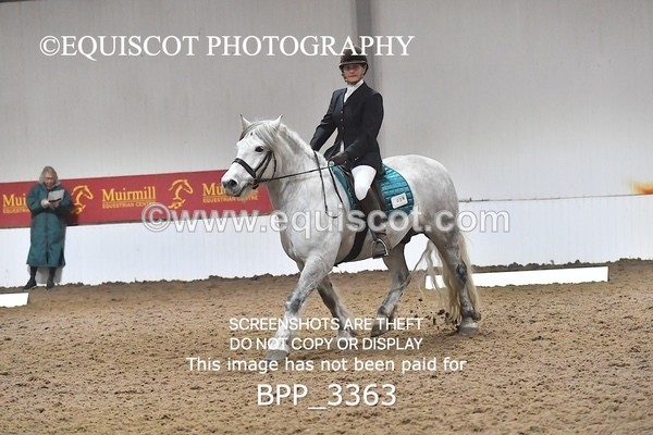 BPP_3363 - INTRO TEST 1