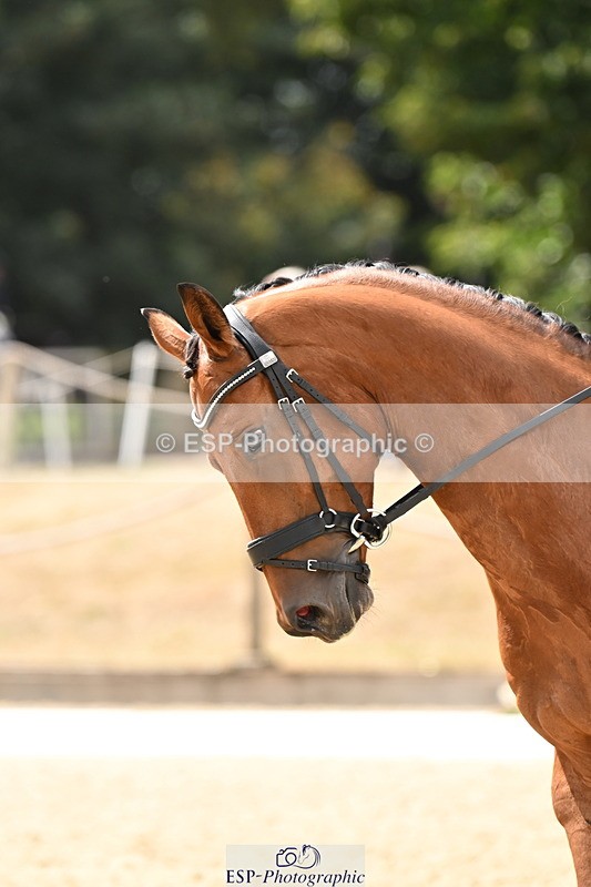 250808A-154543-01482 - 154-Lucy.StrakerVincenzi