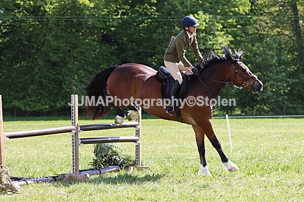 IMG_4722 - Working Hunter