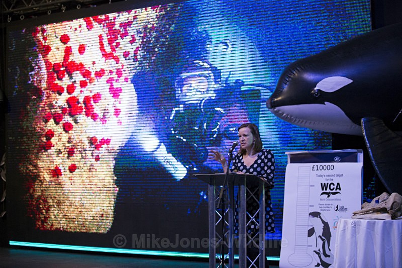 Miranda Krestovnikoff at Whalefest ref WFMK3 - MIRANDA KRESTOVNIKOFF images from Whalefest 2014 in Brighton