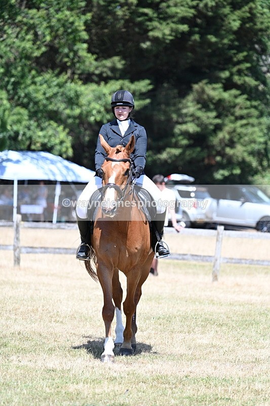 WJ7_2889 - Class 7 Riding Club Show Horse