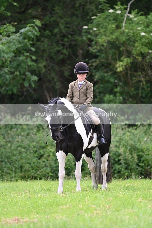 WJ7_2207 - Class 12A Coloured Class