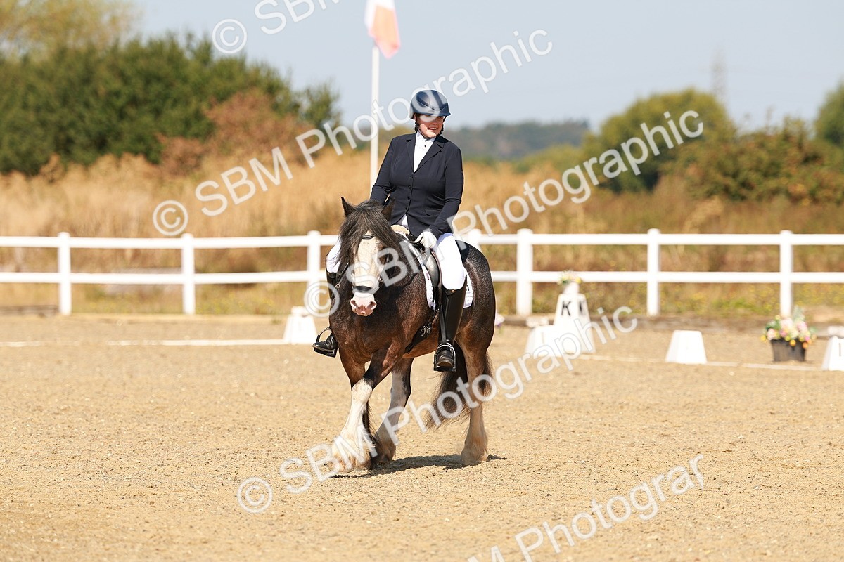 SBM_017769 - Class 9 - N5 Bronze 10.33.11.36