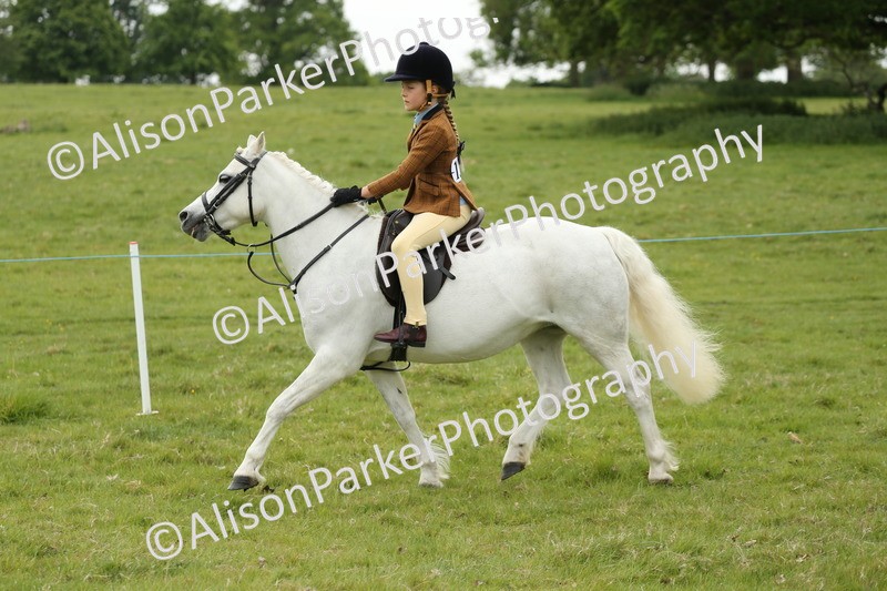20250517-1105 - Class 21 - Novice Working Hunter
