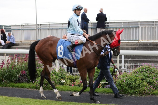 yr24072021r7-28 - Race 7 5.35pm The Sporting Life Fast Results Stakes