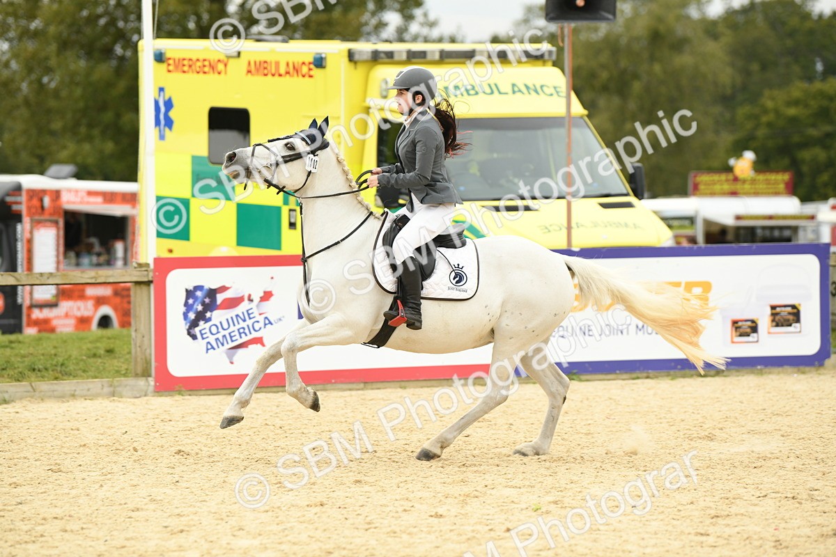 SBM_73010 - J16 - Junior Pony 75cm Championship