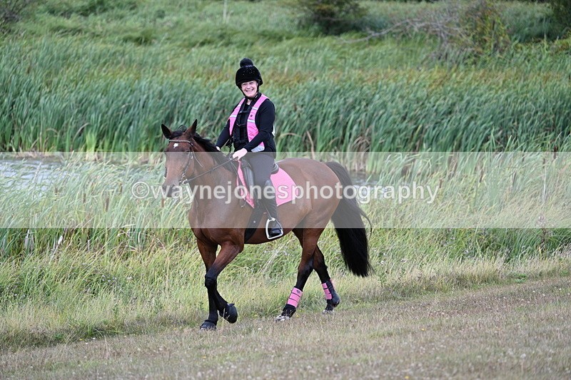 WJ7_6004 - Time 11:50 to 12:09