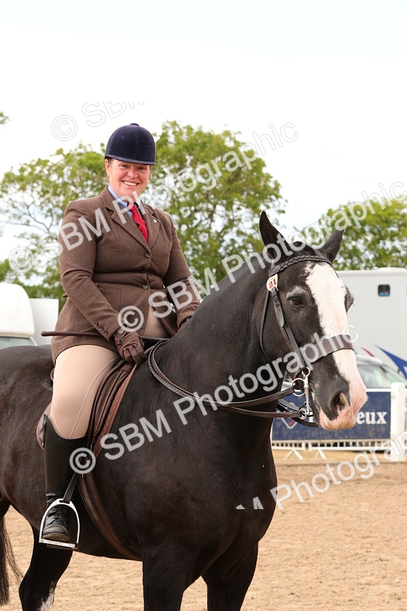 SBM_15543 - Class 214 - Ridden Show Cob