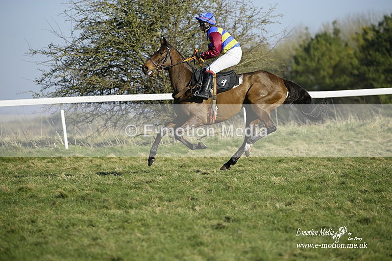 PtP 270222 287 - South & West Wilts Point-to-Point Larkhill 27/02/22