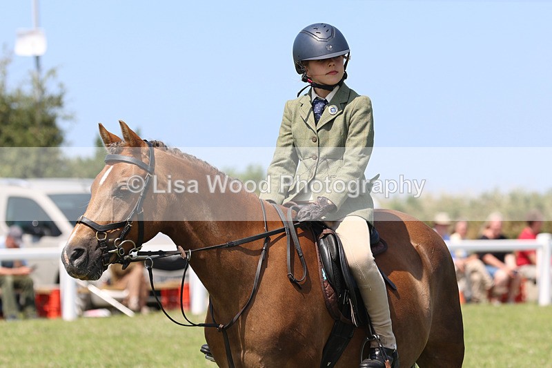 JPP_2921 - Class 21: Working Hunter 60cm