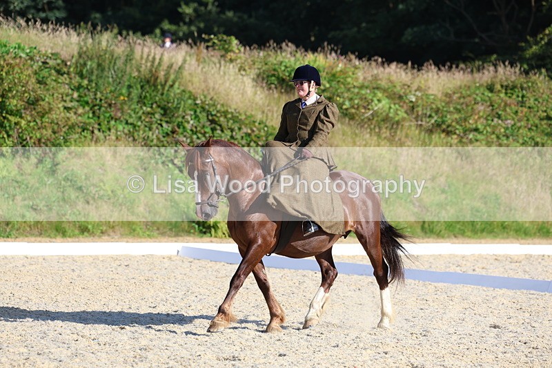 3E7A3440 - Class 2: Intro 1 2024 Section B