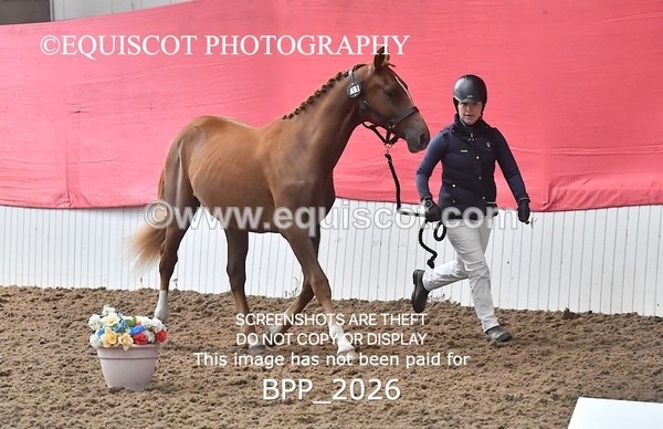 BPP_2026 - AFTERNOON 12.30 - 3.30PM