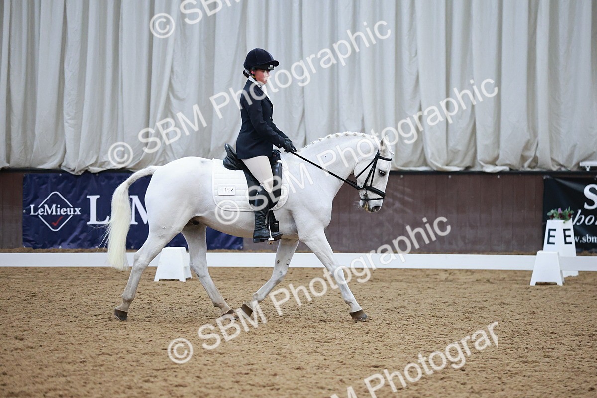 SBM_004500 - Ring 3 - International -  Working Hunter Classes 23-2-25