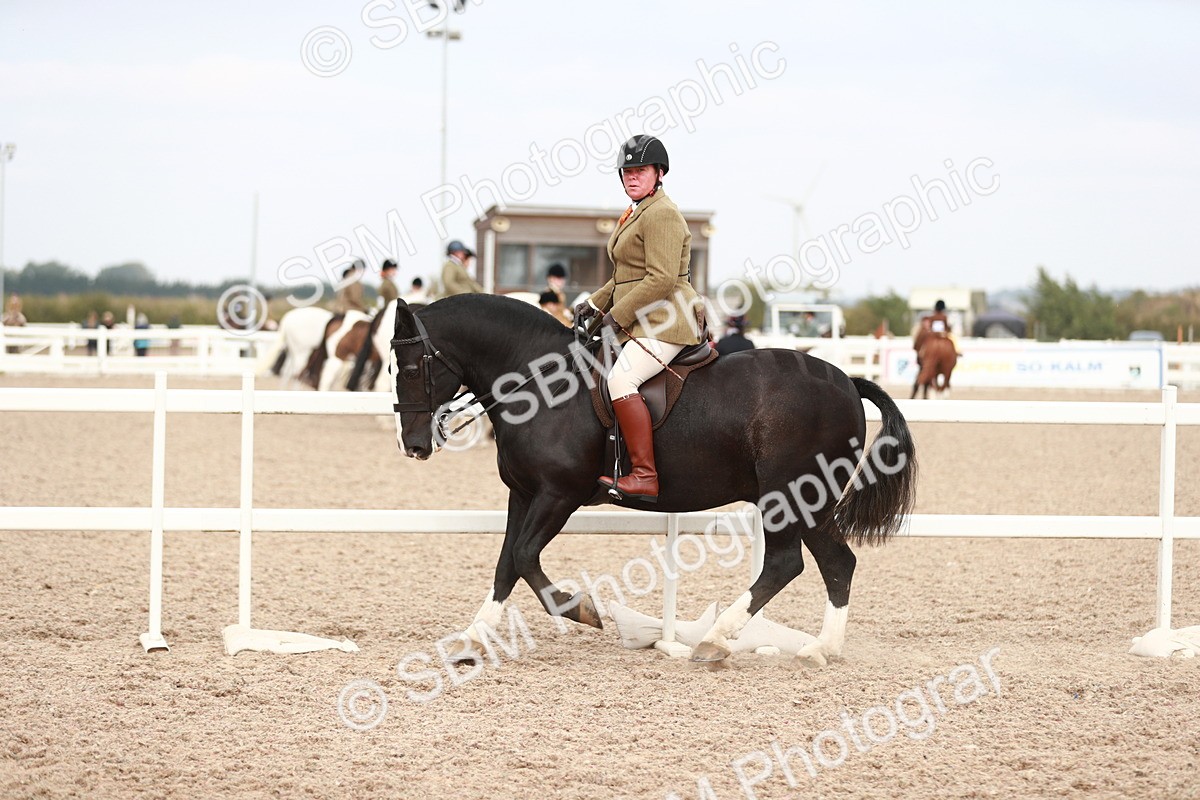 SBM_16701 - Class 214 Ridden Cob