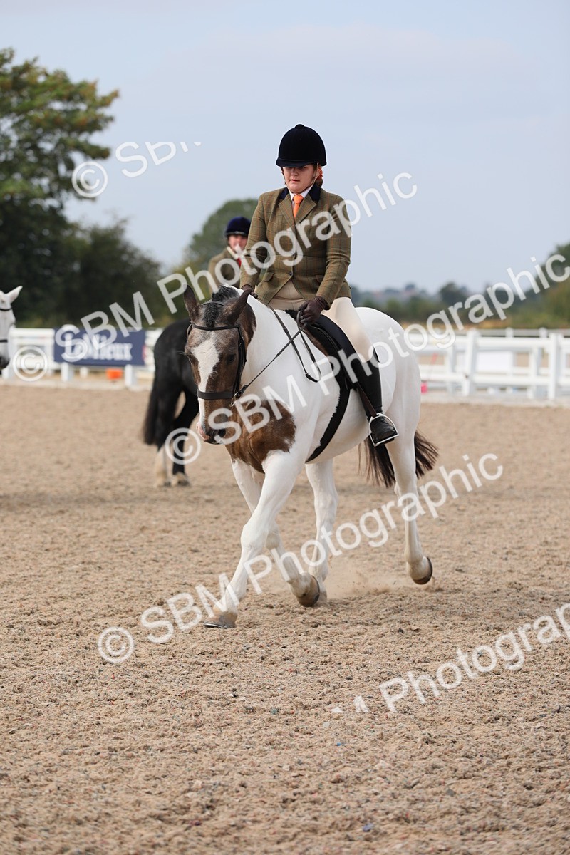 SBM_16983 - Class 314 Family Horse/Pony