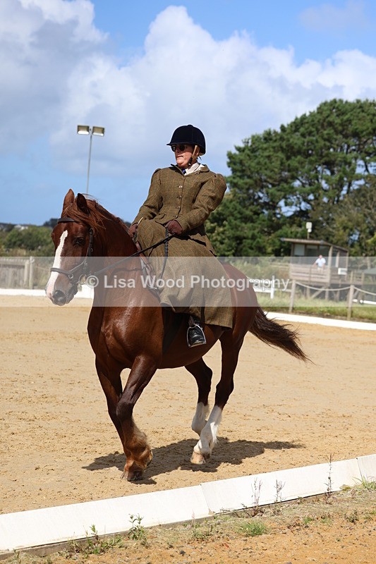 3E7A3600 - Class 7:  Preliminary Music