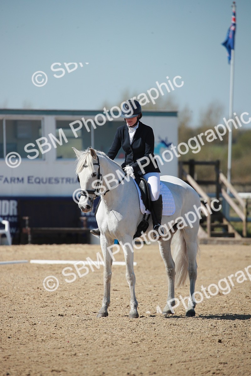 SJ3_0985 - Class 2-5-4-6-7 - Paso Doble-Golega-Sevilla-Lisboa-Novato