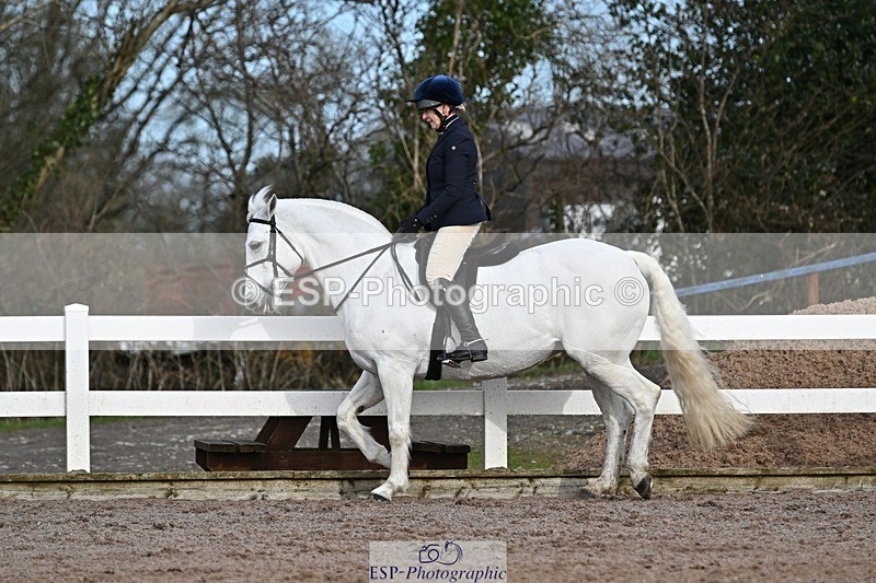 250125-112439-00338 - Dressage - CT Class 5 BE95 (90cm)