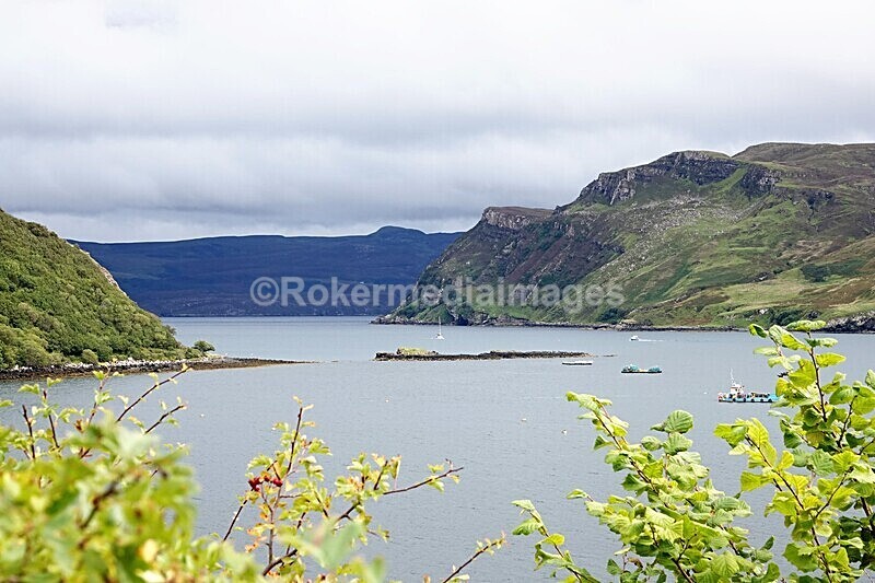 DSC07903 - SEPT 2020 STAYCATION